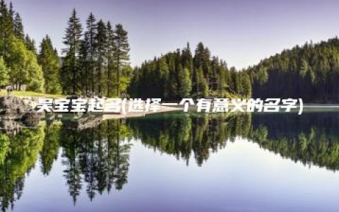 吴宝宝起名(选择一个有意义的名字)