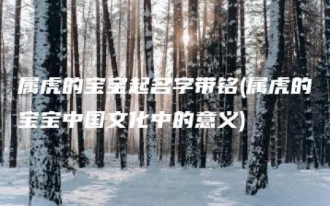 属虎的宝宝起名字带铭(属虎的宝宝中国文化中的意义)