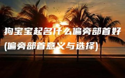 狗宝宝起名什么偏旁部首好(偏旁部首意义与选择)