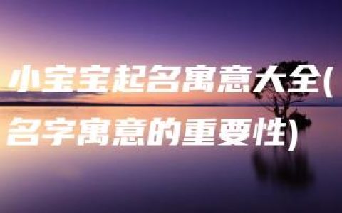 小宝宝起名寓意大全(名字寓意的重要性)