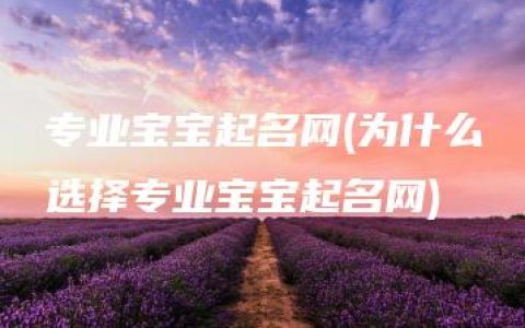 专业宝宝起名网(为什么选择专业宝宝起名网)