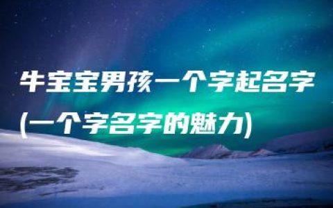 牛宝宝男孩一个字起名字(一个字名字的魅力)