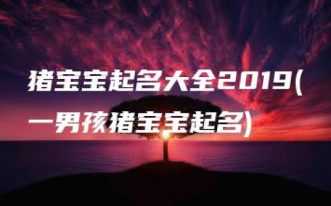 猪宝宝起名大全2019(一男孩猪宝宝起名)