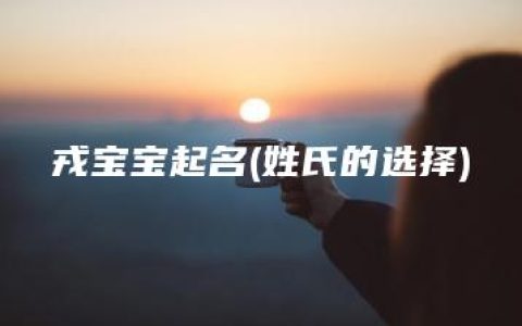 戎宝宝起名(姓氏的选择)