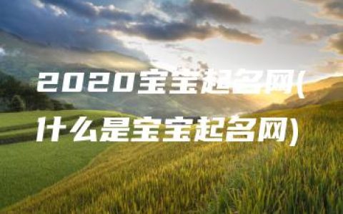 2020宝宝起名网(什么是宝宝起名网)