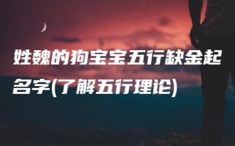 姓魏的狗宝宝五行缺金起名字(了解五行理论)