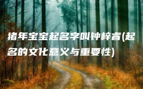 猪年宝宝起名字叫钟梓睿(起名的文化意义与重要性)