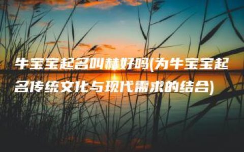 牛宝宝起名叫赫好吗(为牛宝宝起名传统文化与现代需求的结合)