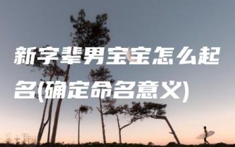 新字辈男宝宝怎么起名(确定命名意义)