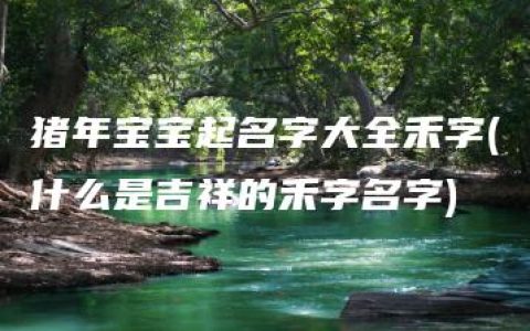 猪年宝宝起名字大全禾字(什么是吉祥的禾字名字)