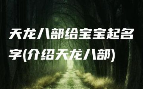 天龙八部给宝宝起名字(介绍天龙八部)