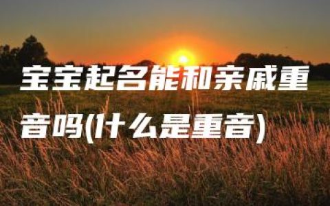 宝宝起名能和亲戚重音吗(什么是重音)