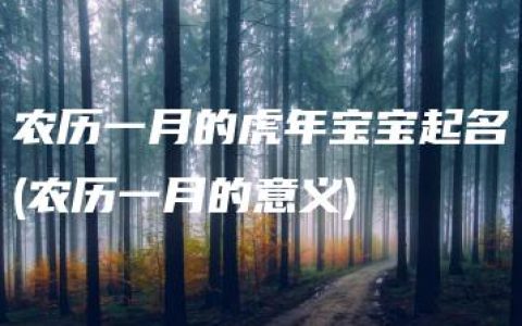 农历一月的虎年宝宝起名(农历一月的意义)