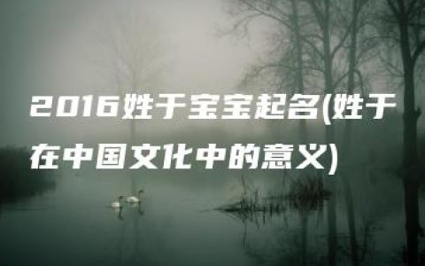 2016姓于宝宝起名(姓于在中国文化中的意义)