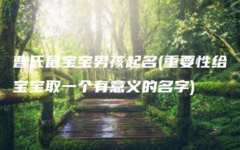 曹氏鼠宝宝男孩起名(重要性给宝宝取一个有意义的名字)