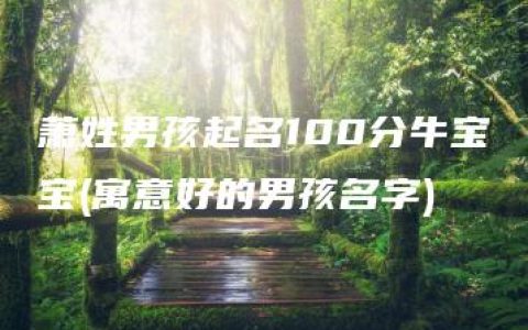 萧姓男孩起名100分牛宝宝(寓意好的男孩名字)