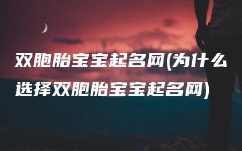 双胞胎宝宝起名网(为什么选择双胞胎宝宝起名网)