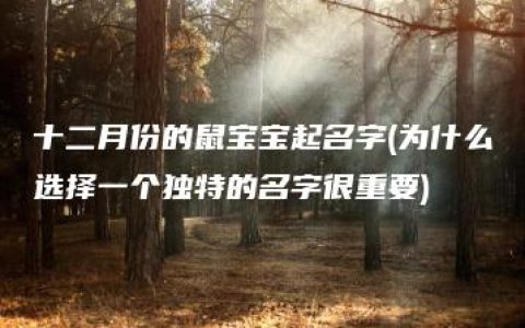 十二月份的鼠宝宝起名字(为什么选择一个独特的名字很重要)