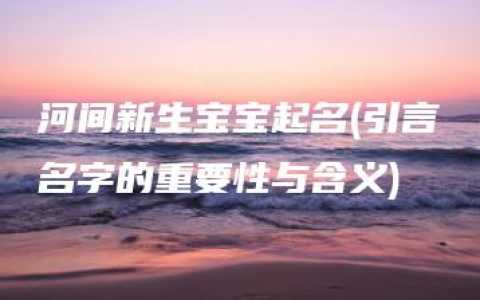 河间新生宝宝起名(引言名字的重要性与含义)