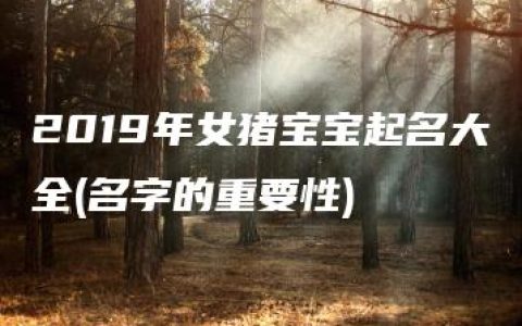 2019年女猪宝宝起名大全(名字的重要性)