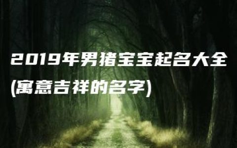 2019年男猪宝宝起名大全(寓意吉祥的名字)