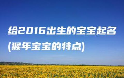 给2016出生的宝宝起名(猴年宝宝的特点)