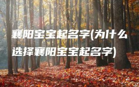 襄阳宝宝起名字(为什么选择襄阳宝宝起名字)