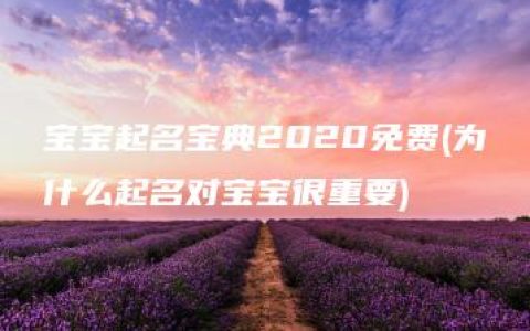 宝宝起名宝典2020免费(为什么起名对宝宝很重要)