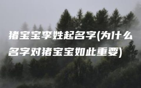 猪宝宝李姓起名字(为什么名字对猪宝宝如此重要)