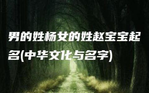 男的姓杨女的姓赵宝宝起名(中华文化与名字)