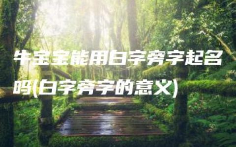 牛宝宝能用白字旁字起名吗(白字旁字的意义)