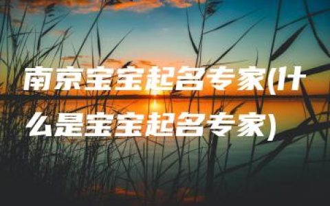 南京宝宝起名专家(什么是宝宝起名专家)