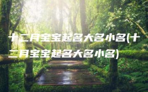 十二月宝宝起名大名小名(十二月宝宝起名大名小名)