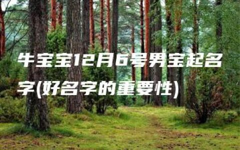 牛宝宝12月6号男宝起名字(好名字的重要性)