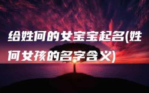 给姓何的女宝宝起名(姓何女孩的名字含义)