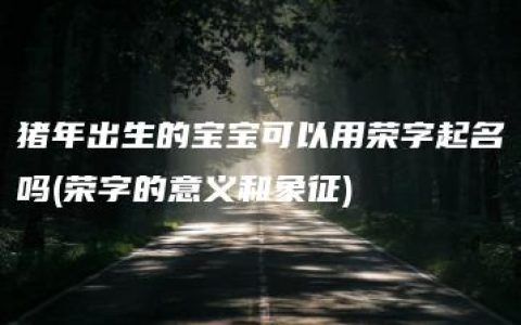 猪年出生的宝宝可以用荣字起名吗(荣字的意义和象征)