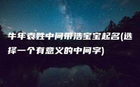 牛年袁姓中间带浩宝宝起名(选择一个有意义的中间字)