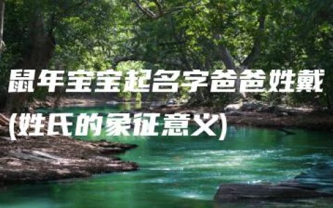 鼠年宝宝起名字爸爸姓戴(姓氏的象征意义)