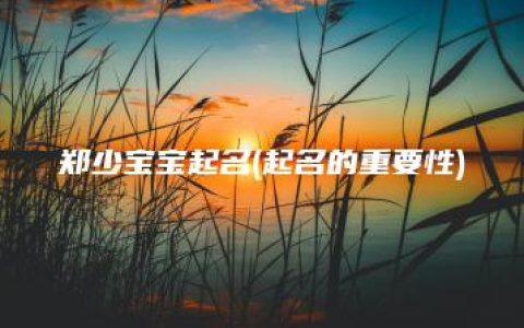 郑少宝宝起名(起名的重要性)