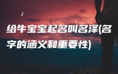 给牛宝宝起名叫名泽(名字的涵义和重要性)