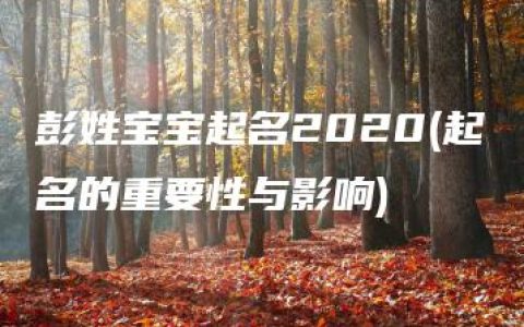 彭姓宝宝起名2020(起名的重要性与影响)