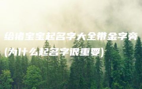 给猪宝宝起名字大全带金字旁(为什么起名字很重要)