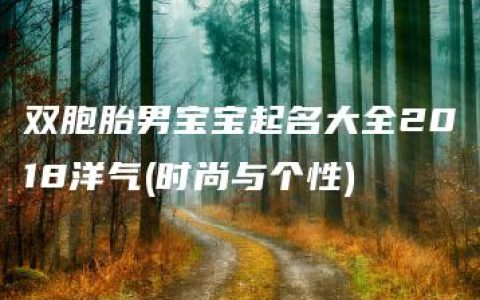 双胞胎男宝宝起名大全2018洋气(时尚与个性)