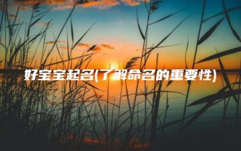 好宝宝起名(了解命名的重要性)