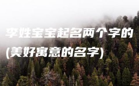 李姓宝宝起名两个字的(美好寓意的名字)