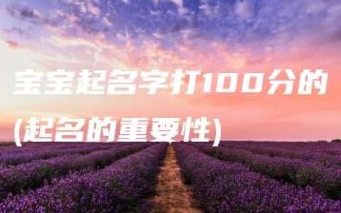 宝宝起名字打100分的(起名的重要性)