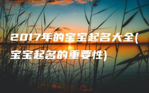 2017年的宝宝起名大全(宝宝起名的重要性)