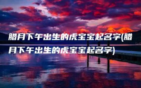 腊月下午出生的虎宝宝起名字(腊月下午出生的虎宝宝起名字)