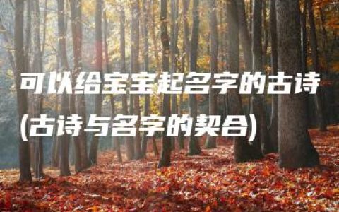 可以给宝宝起名字的古诗(古诗与名字的契合)