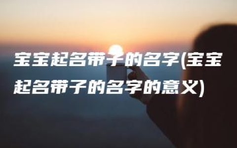 宝宝起名带子的名字(宝宝起名带子的名字的意义)